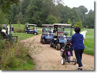 Buggies at Sandford Springs