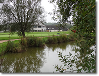 Sandford Springs
